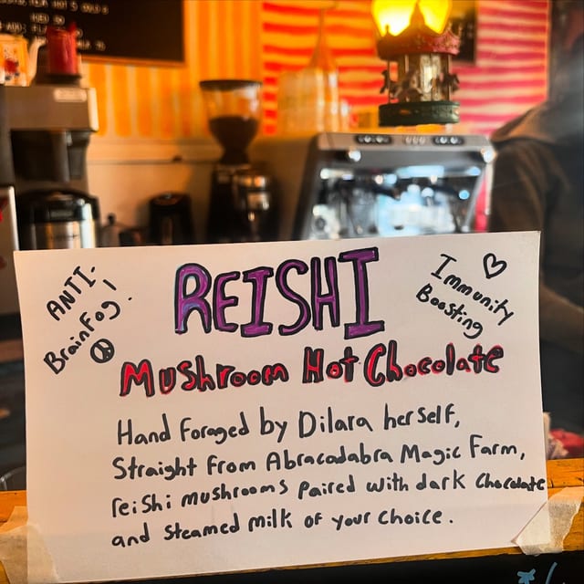 Reishi Hot Chocolate.